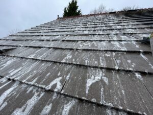 Biocide treatment being applied during professional roof cleaning
